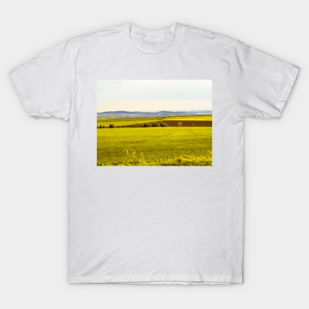 Yellow fields T-Shirt by bunlinked